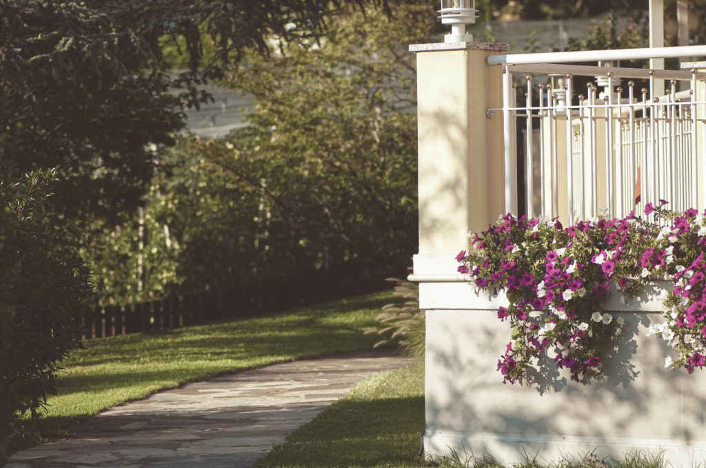 _DSC0753 Relax svg+xml;charset=utf