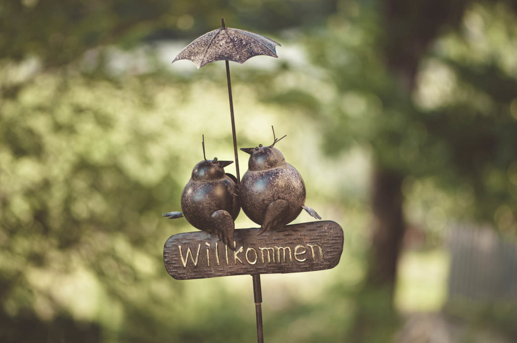 _DSC0762 Relax svg+xml;charset=utf