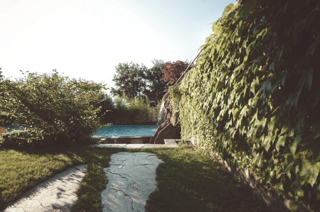 _DSC0883 Relax svg+xml;charset=utf